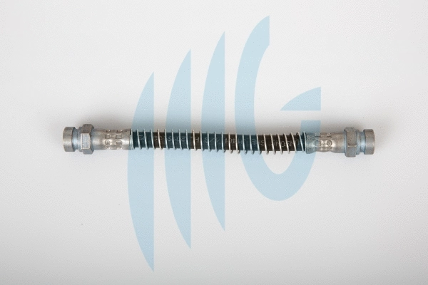 Flexible de frein RICAMBIFLEX GM 02160947