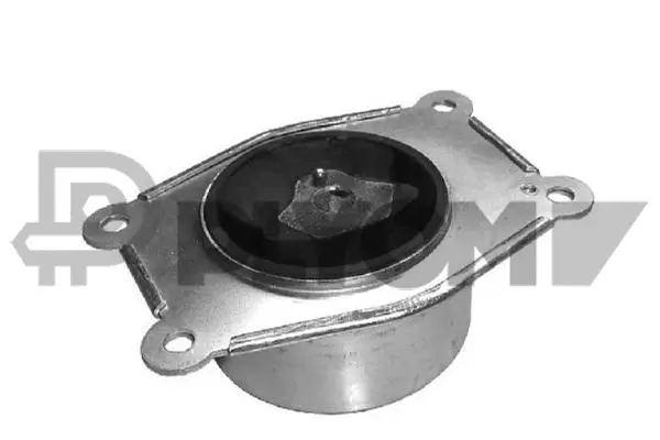 Support moteur PLYOM P480487