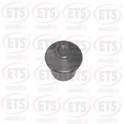 Support moteur ETS 31.EM.903