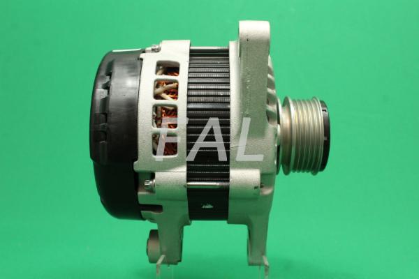Alternateur FAL Anlasser- und Lichtmaschinenservice F016896/1