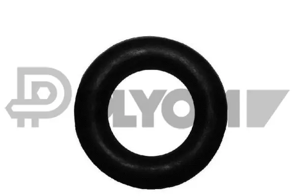 Anneau de fixation, silencieux PLYOM P030244