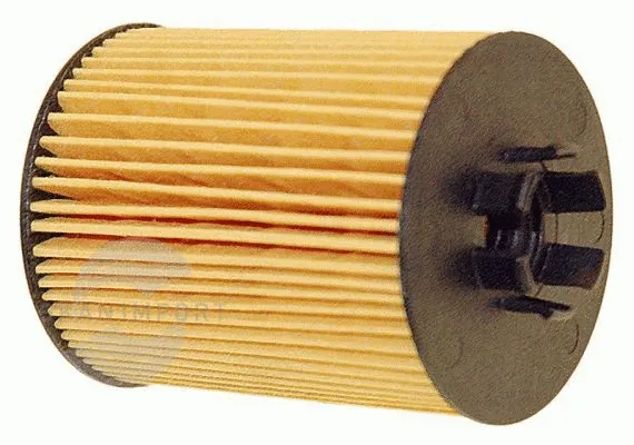 Filtre à huile SKANIMPORT SPO-2425