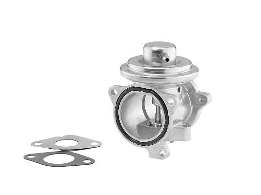 Vanne EGR BorgWarner 7271D/1