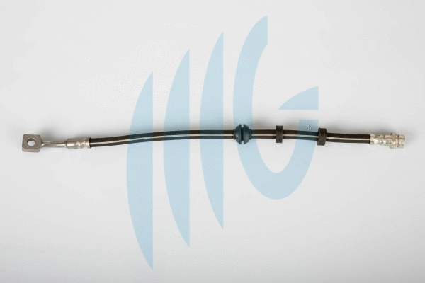 Flexible de frein RICAMBIFLEX GM 02140438