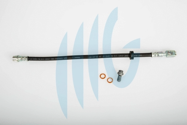 Flexible de frein RICAMBIFLEX GM 02020086