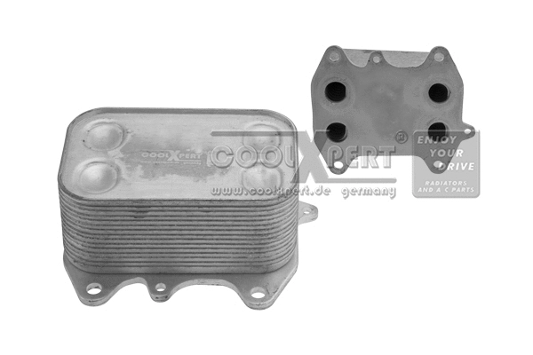 Radiateur d'huile BBR Automotive 002-60-16278