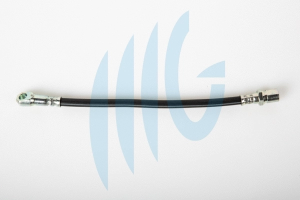 Flexible de frein RICAMBIFLEX GM 02120098