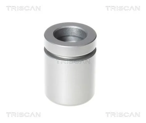 Piston, étrier de frein TRISCAN 8170 234234