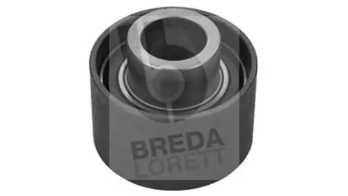 Poulie renvoi/transmission, courroie crantée BREDA LORETT TDI5019