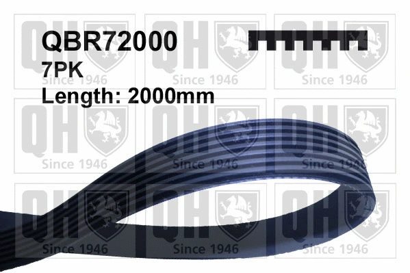 Courroie trapézoïdale à nervures QUINTON HAZELL QBR72000