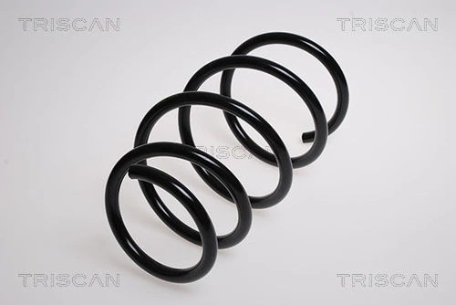 Ressort de suspension TRISCAN 8750 1189
