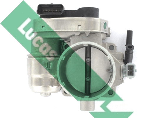 Corps papillon LUCAS LTH516