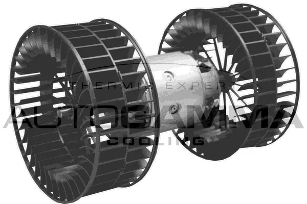 Pulseur d'air habitacle AUTOGAMMA GA20100