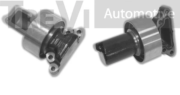 Poulie renvoi/transmission, courroie crantée TREVI AUTOMOTIVE TD1615