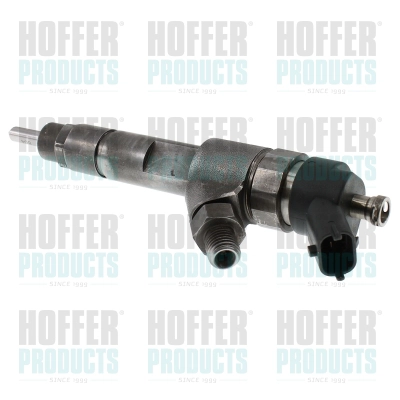 Injecteur HOFFER H74006R