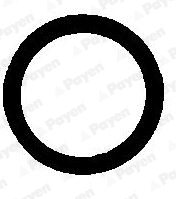 Joint, tuyau d'échappement PAYEN JE012