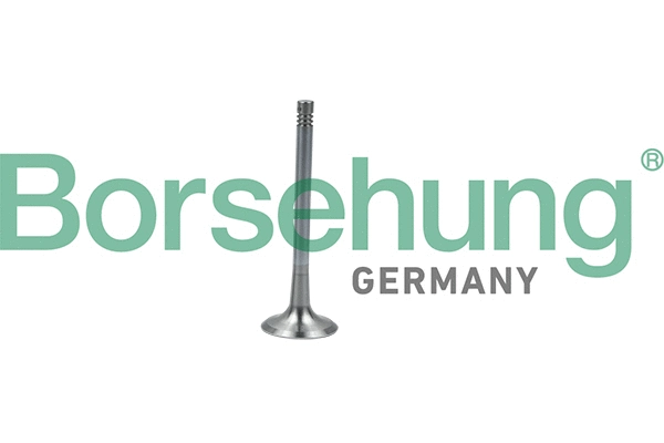Soupape d'émission Borsehung B19011