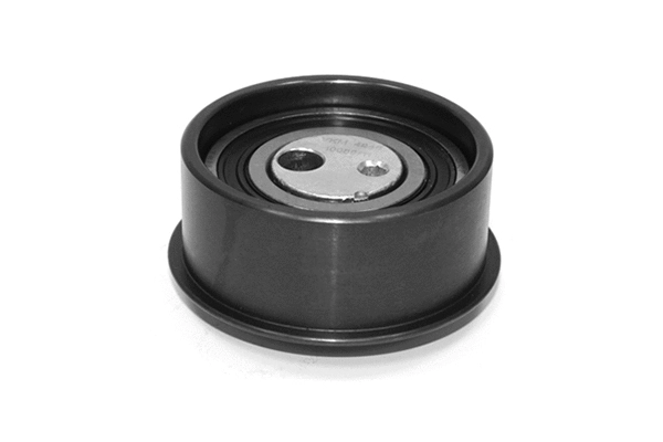 Poulie de tension, courroie crantée SKF Brazil VKM 4946