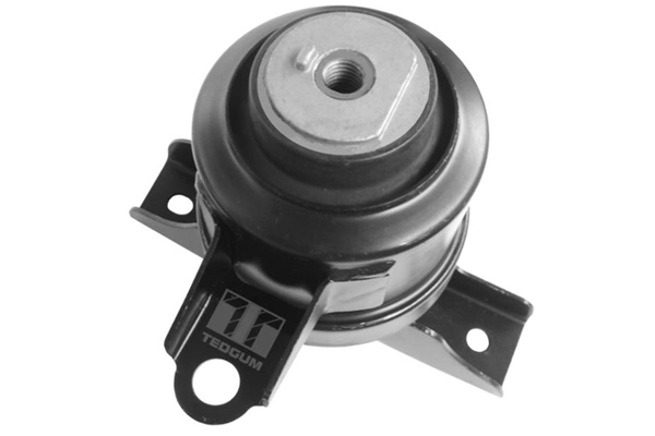Support moteur TEDGUM 00393612
