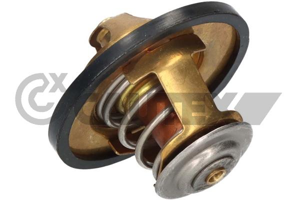 Thermostat, liquide de refroidissement CAUTEX 756899