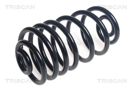 Ressort de suspension TRISCAN 8750 23223