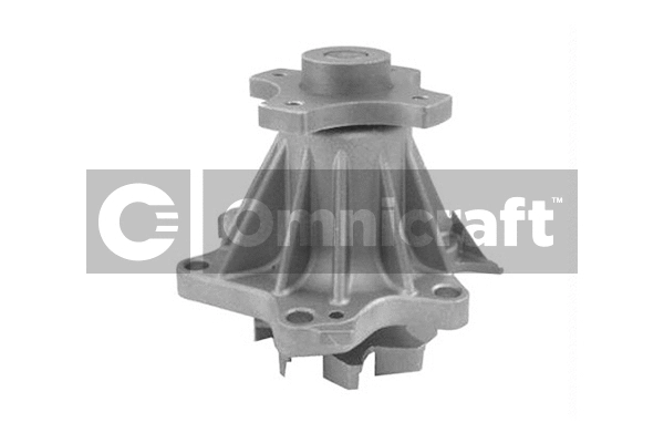 Pompe à eau, refroidissement du moteur Omnicraft 2317420