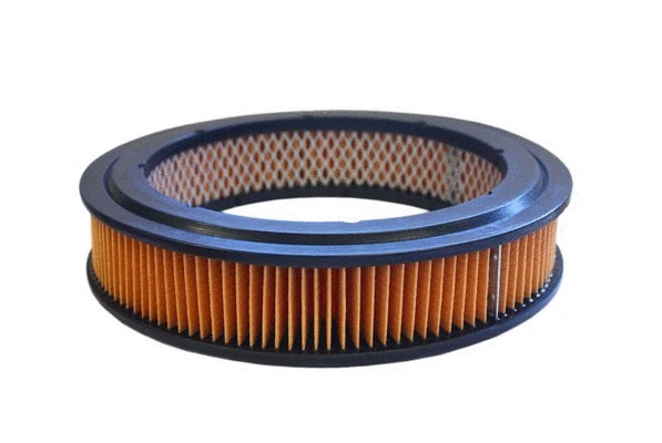 Filtre à air ACDelco Oceania ACA2