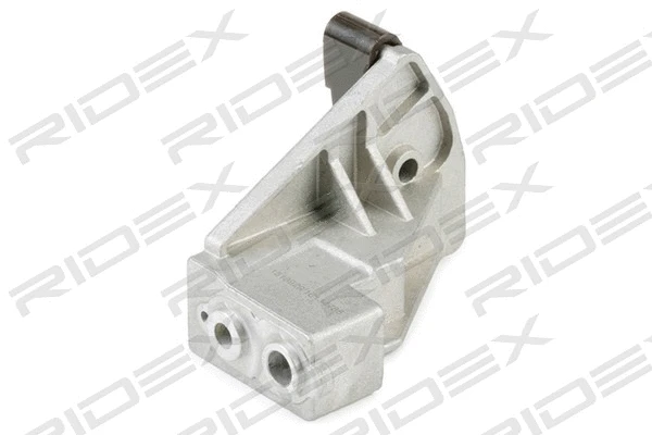 Coulisse, chaîne de distribution RIDEX 1075T0015