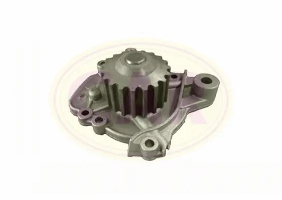 Pompe à eau, refroidissement du moteur CAR 332007