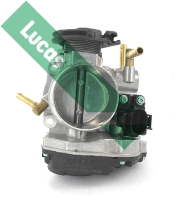Corps papillon LUCAS LTH428