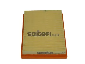 Filtre à air CoopersFiaam PA7338