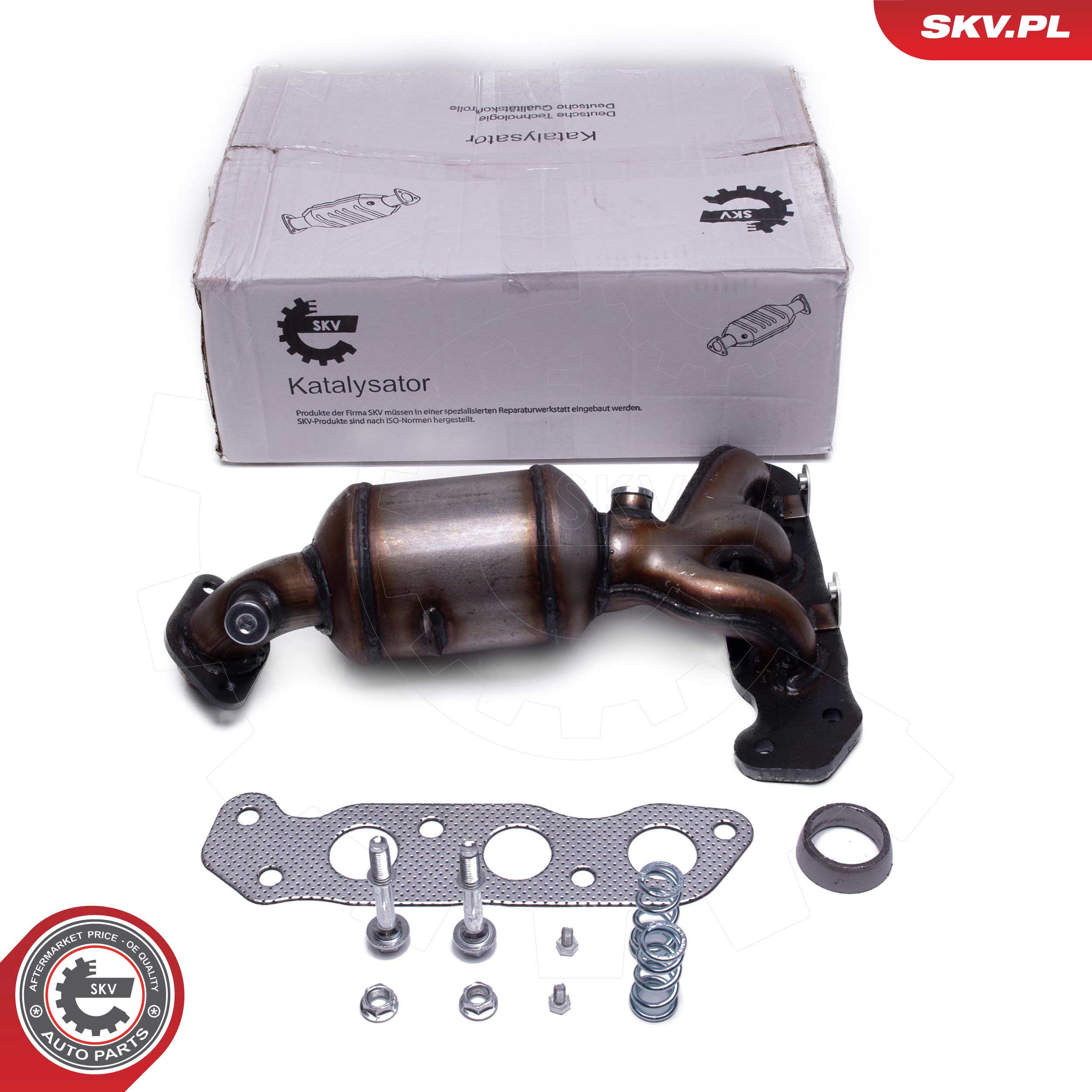 Catalyseur ESEN SKV 62SKV018