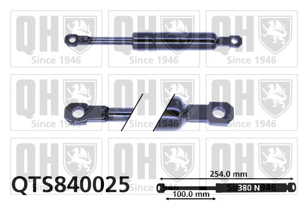 Vérin, capot-moteur QUINTON HAZELL QTS840025