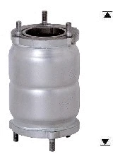 Catalyseur VEGAZ GmbH DAK-915