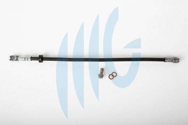 Flexible de frein RICAMBIFLEX GM 02020072