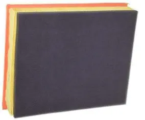 Filtre à air Fram-Au CA10697