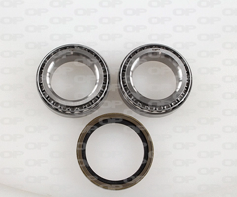 Kit de roulements de roue OPEN PARTS HBK5065.01