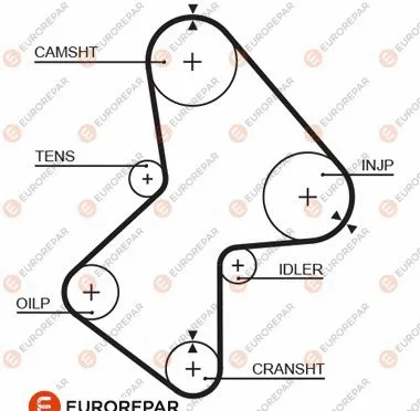 Courroie crantée EUROREPAR 1633139780