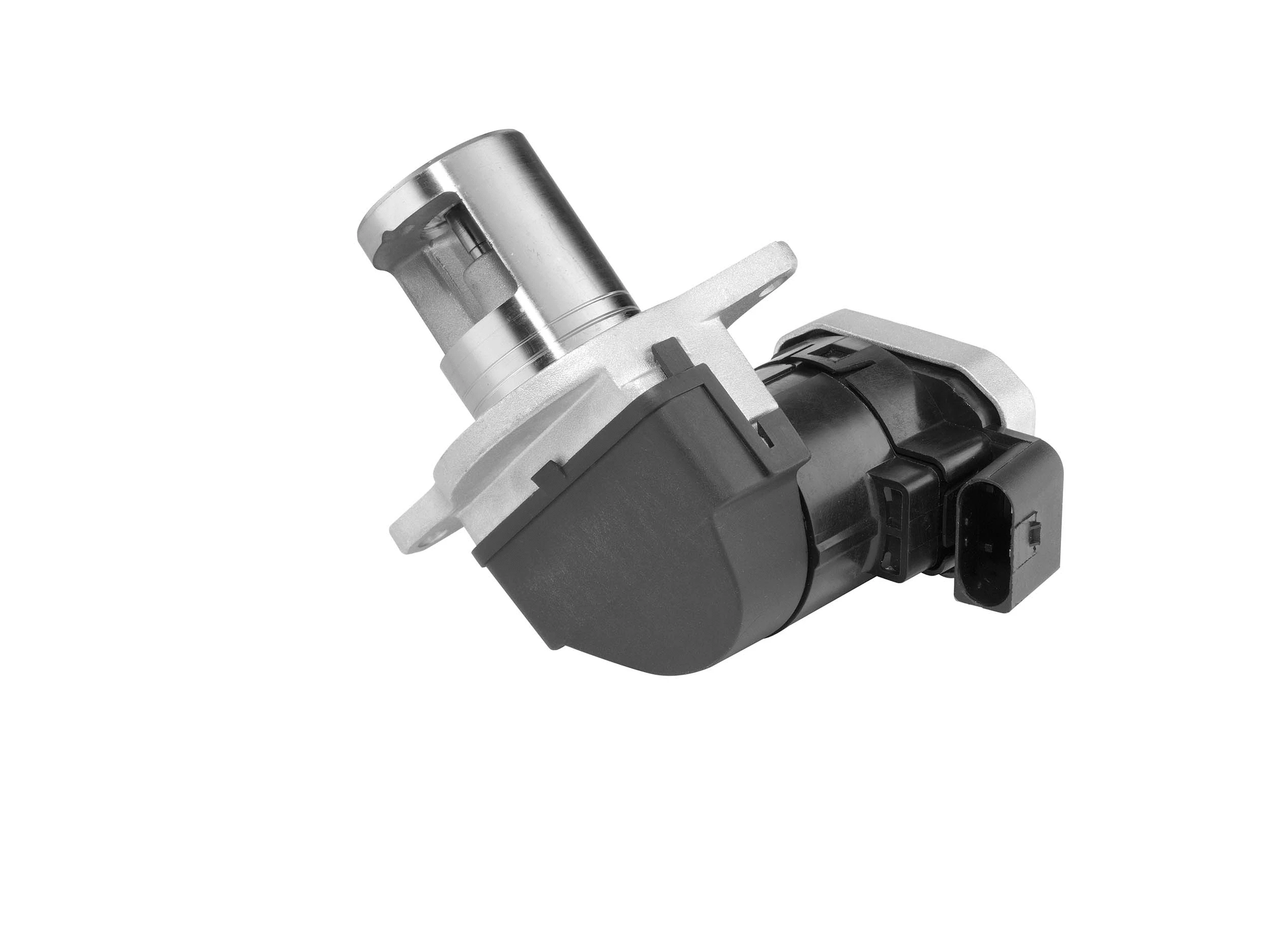 Vanne EGR BorgWarner 7389D/1