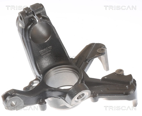 Fusée d'essieu, suspension de roue TRISCAN 8500 29701