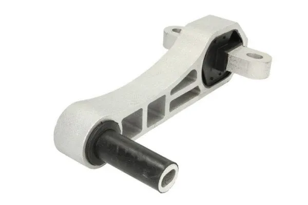 Support moteur REINHOCH RH11-1066