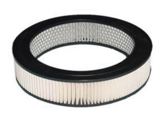 Filtre à air ACDelco Oceania ACA39