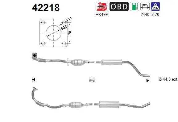 Catalyseur AS 42218