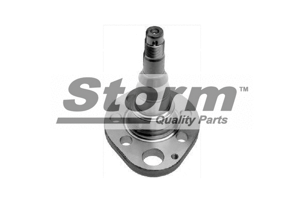 Fusée d'essieu, suspension de roue STORM QUALITY PARTS F6049