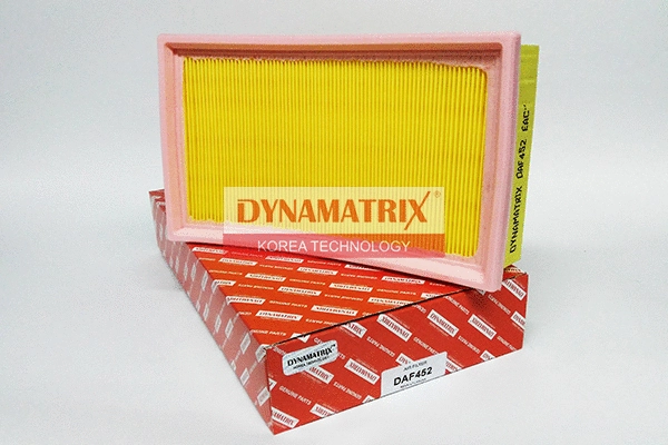 Filtre à air DYNAMATRIX DAF452