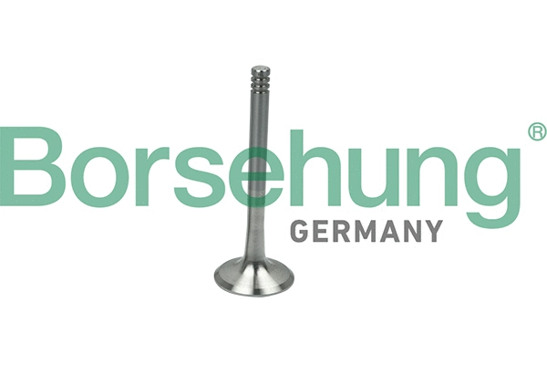Soupape d'émission Borsehung B19013
