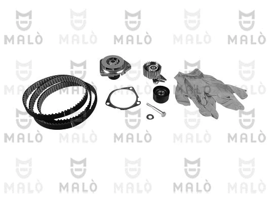 Pompe à eau + kit de courroie crantée AKRON-MALÒ 1555018
