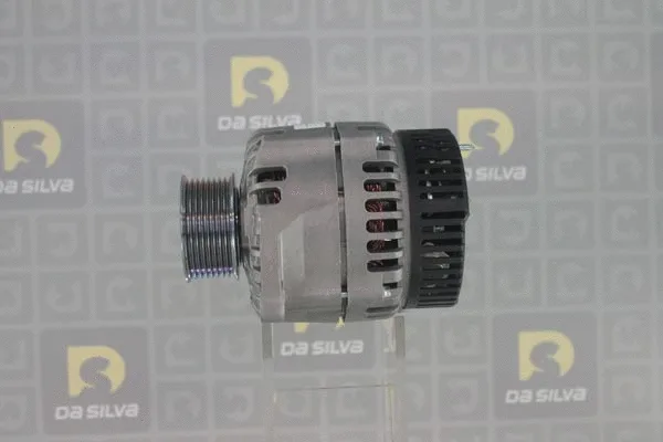 Alternateur DA SILVA 010761