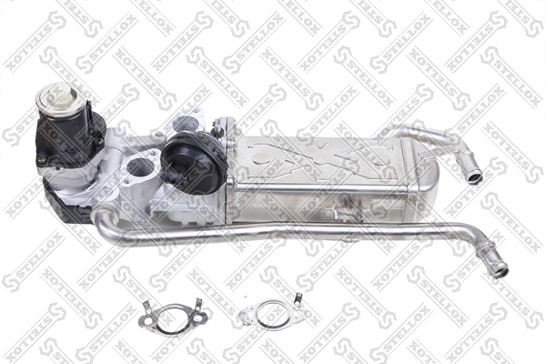 Vanne EGR STELLOX 01-25111-SX