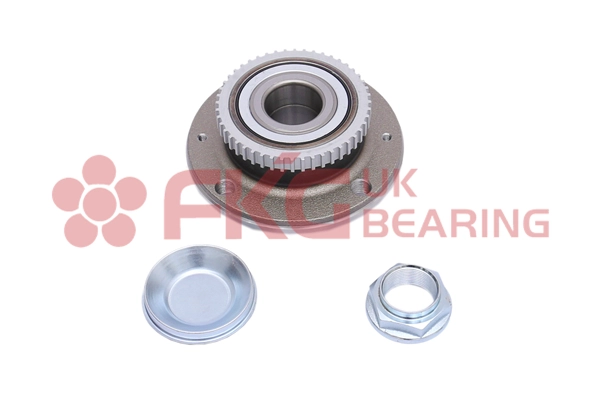 Kit de roulements de roue FKG GL4925S